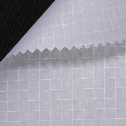poly.tex_Spi