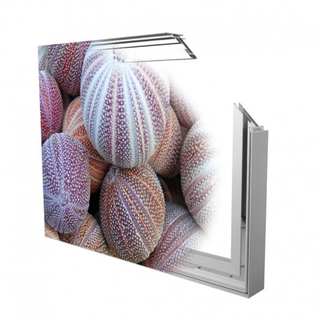Cadre frame.tex_47| chant lisse