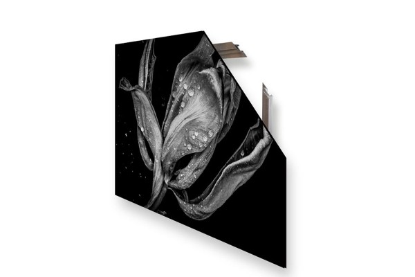 frame.board_châssis.15
